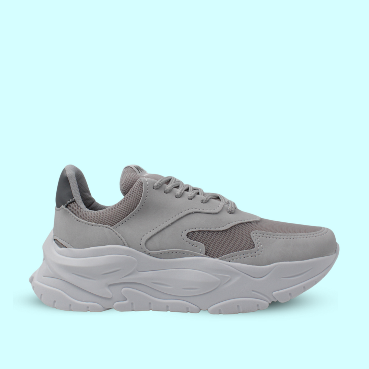 Raptor Gris