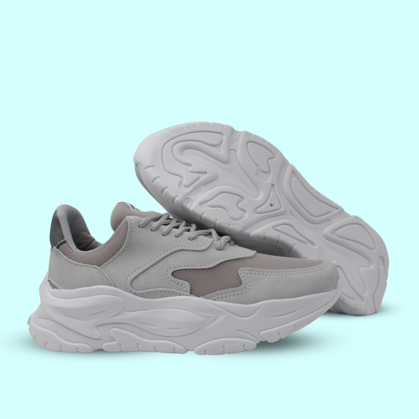 Raptor Gris