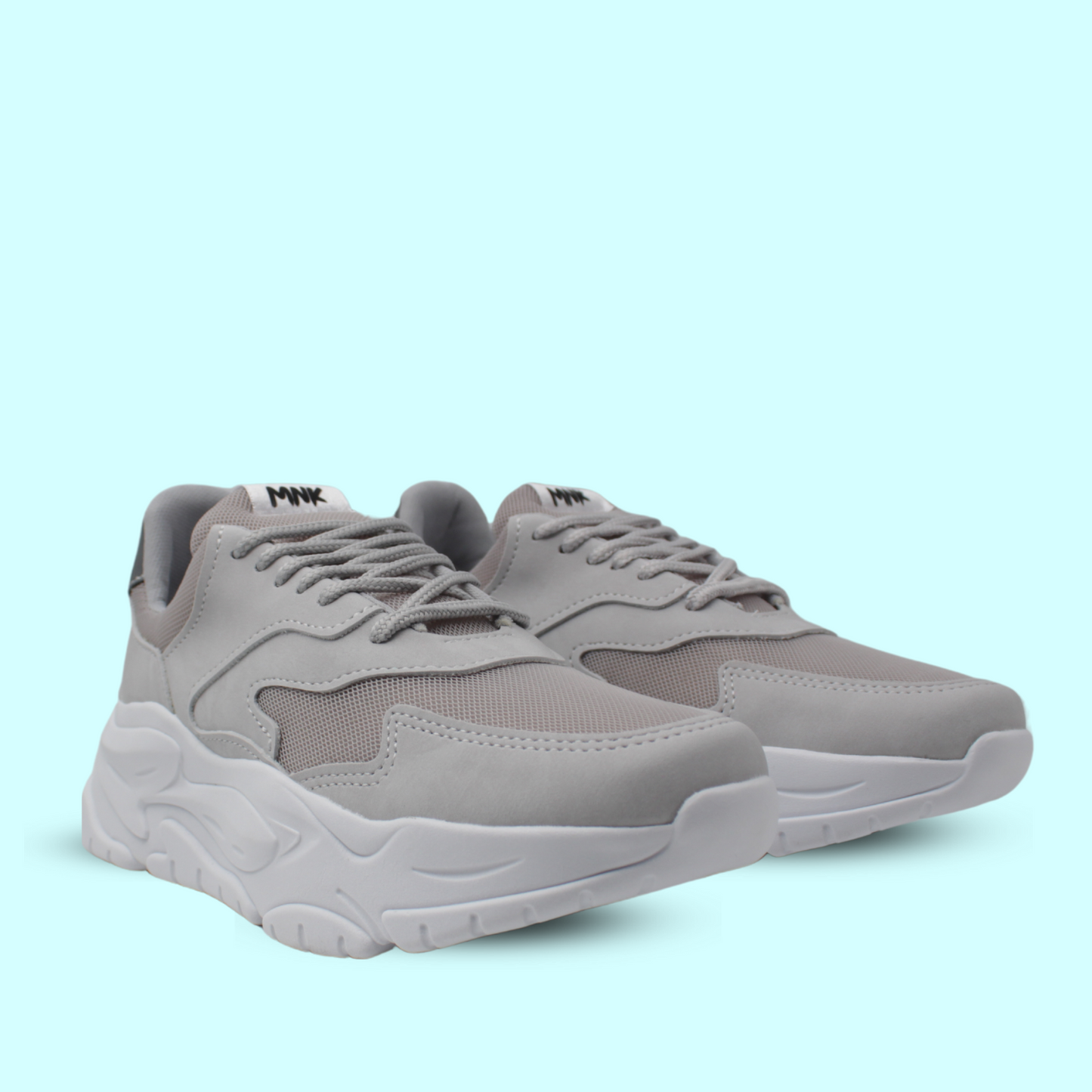Raptor Gris